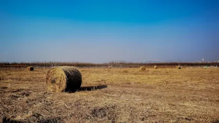 Kazino Slot Shack Mobilioji programa